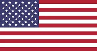 american flag-Lansing